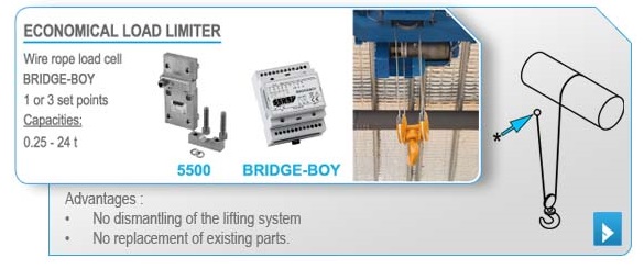 What Is Overhead Crane Capacity & Working Load Limit? - Overhead