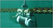 https://www.sensy.com/en/applications/marines-and-subsea/subsea-tensiometer